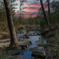 The Payne Ranch images 5