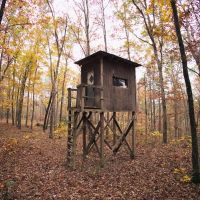 120 Acres with a Camp in Hamilton County Tennessee images 2