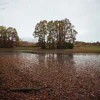 120 Acres with a Camp in Hamilton County Tennessee images 3