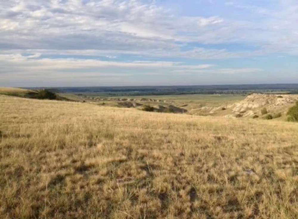 Flat Top LLC Pasture featured image