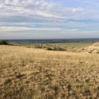 Flat Top LLC Pasture