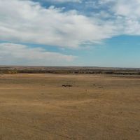 Flat Top LLC Pasture images 2