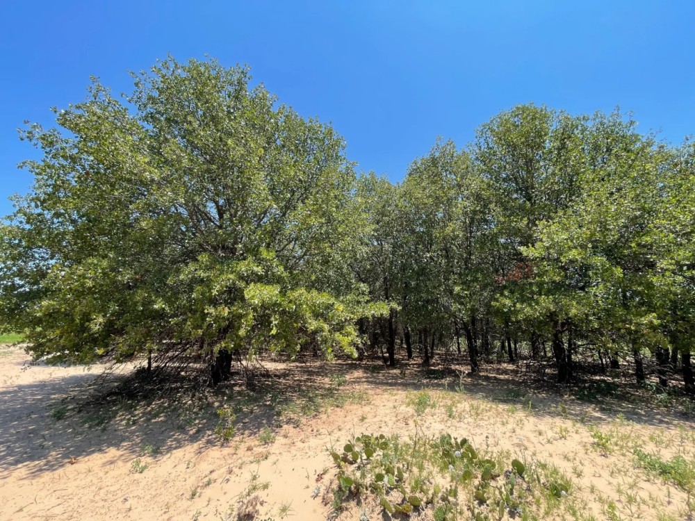 New Listing 7 - Ac CR 356 Jones featured image