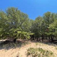 New Listing 7 - Ac CR 356 Jones images 1