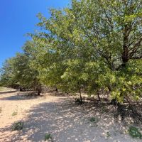 New Listing 7 - Ac CR 356 Jones images 2