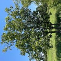 New Listing 7 - Ac CR 356 Jones images 3