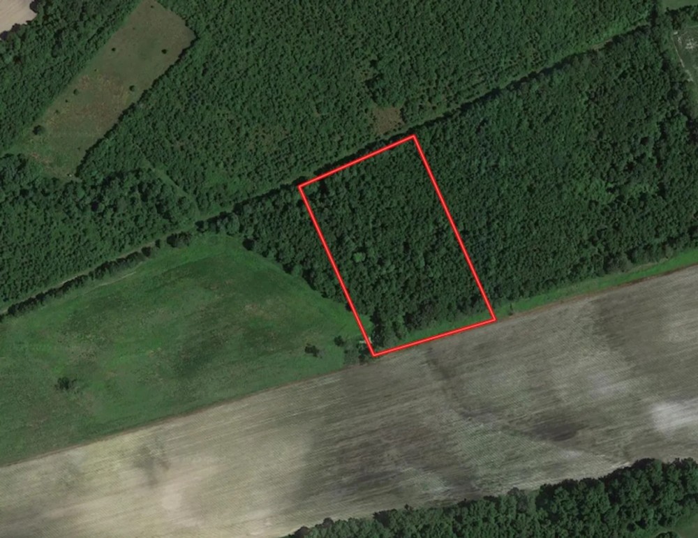 4.26 acres of Recreational Land and Possible Homestead For Sale in Duplin County NC featured image