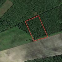 4.26 acres of Recreational Land and Possible Homestead For Sale in Duplin County NC
