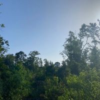LA - Caldwell 240 acres - images 2