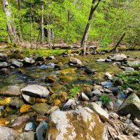 Off-Grid Retreat in Marlboro VT images 3