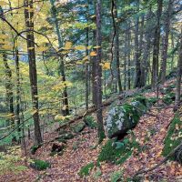 Lake George Heights