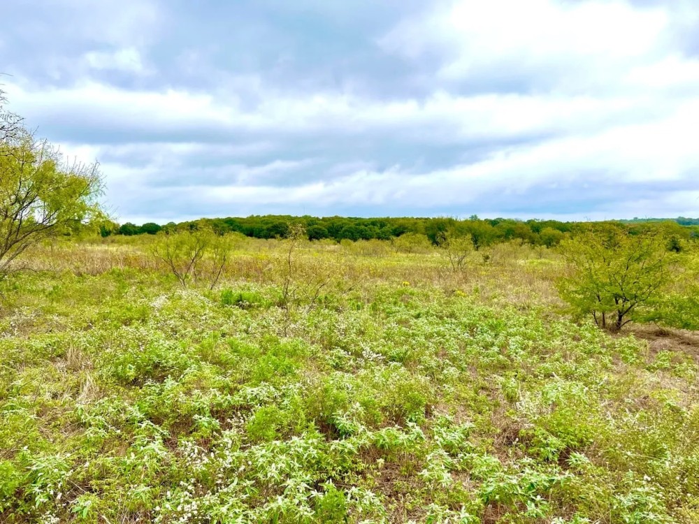 CR 2117 Gainesville Texas 76240 featured image