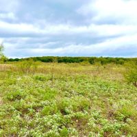 CR 2117 Gainesville Texas 76240