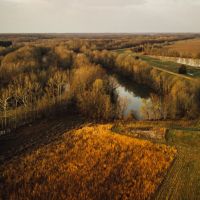 400 Acres in Leflore County MS with a Home AND Farmland images 3