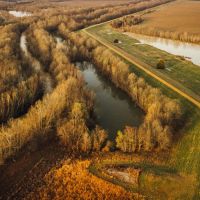 400 Acres in Leflore County MS with a Home AND Farmland images 4