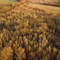 400 Acres in Leflore County MS with a Home AND Farmland images 5
