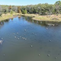 152 Acre Kansas Hunting Property for Sale Chautauqua County images 5