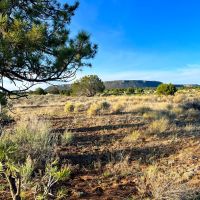 Zuni Mountain Elk Cattle Ranch images 1