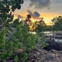 Zuni Mountain Elk Cattle Ranch images 2