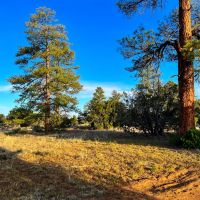 Zuni Mountain Elk Cattle Ranch images 3