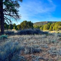 Zuni Mountain Elk Cattle Ranch images 5