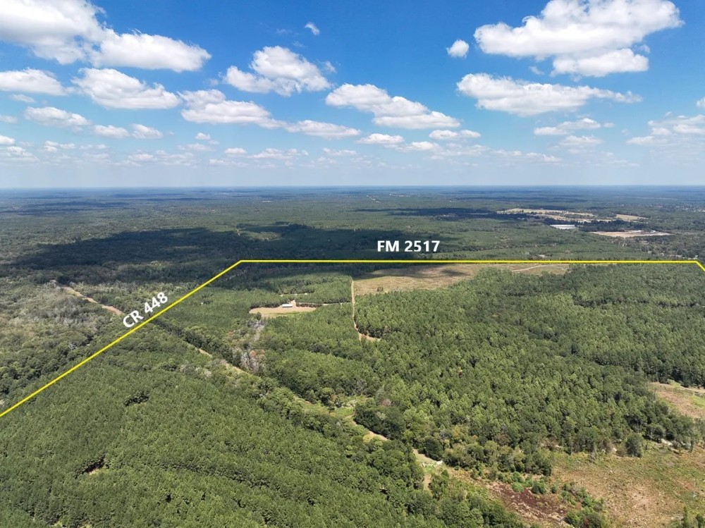 742 Acres FM 2517 featured image