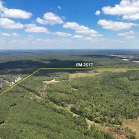 742 Acres FM 2517 images 1