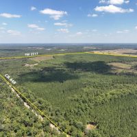 742 Acres FM 2517 images 2