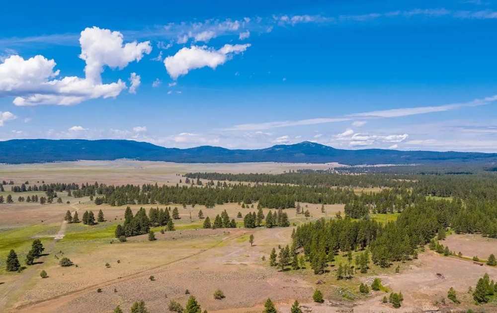 Summit Prairie featured image