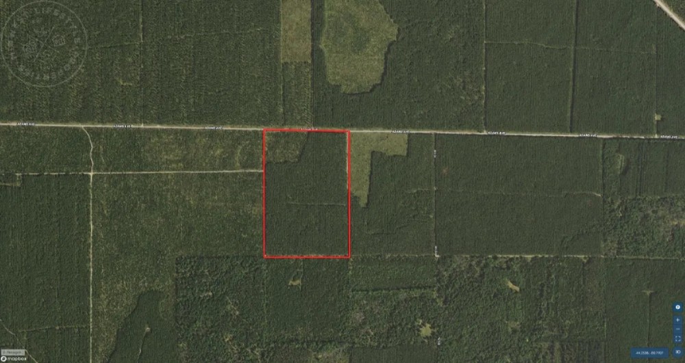 60 Acre Timber Properties Adams County featured image