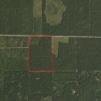 60 Acre Timber Properties Adams County