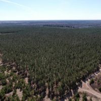 60 Acre Timber Properties Adams County images 3