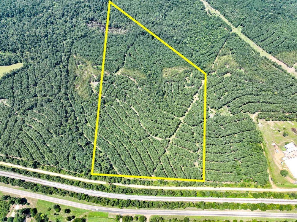 49.5 Acres County Road 9070 T-3 featured image