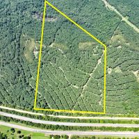 49.5 Acres County Road 9070 T-3