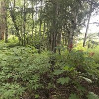 Agate Beach Subdivision images 2