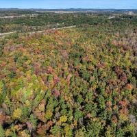 Escape to Your Private Wilderness Retreat in Monroe County WI images 2