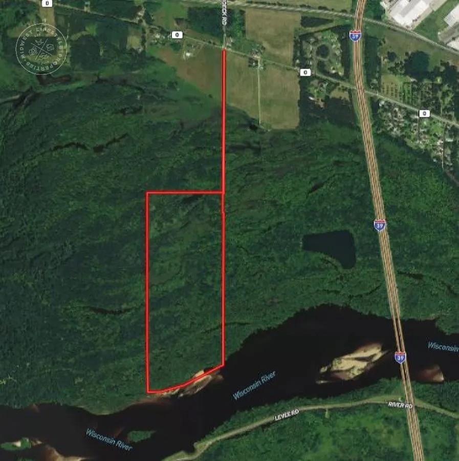 One of a Kind Flooded Timber in Columbia County WI featured image