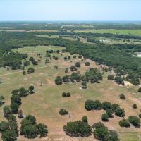 Beautiful 40 acres being sold as a carve out of 152 acres Tract 2 of 3 tracts. images 2