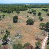 Beautiful 40 acres being sold as a carve out of 152 acres Tract 2 of 3 tracts. images 3