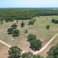 Beautiful 40 acres being sold as a carve out of 152 acres Tract 2 of 3 tracts. images 4