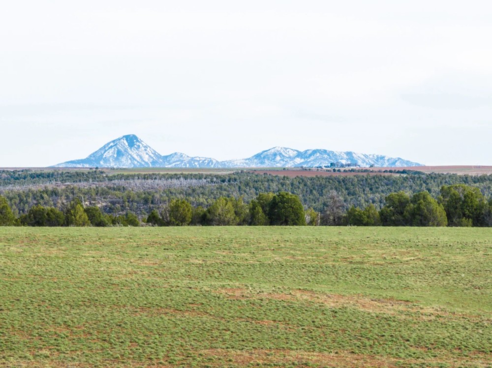Walton Ranch featured image