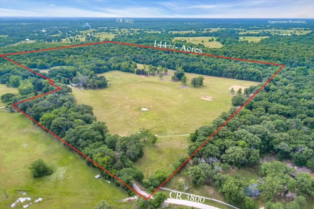 Incredible 143 acre hunting property near Athens. featured image