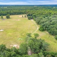 Incredible 143 acre hunting property near Athens. images 4