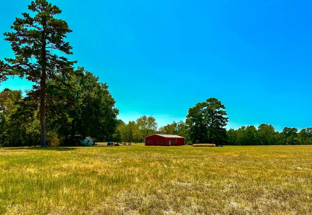 298 Acres County Road 1655 featured image