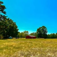 298 Acres County Road 1655