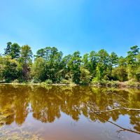 298 Acres County Road 1655 images 2