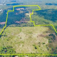 298 Acres County Road 1655 images 3