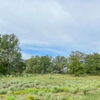 87 Acres Hwy 79 images 3