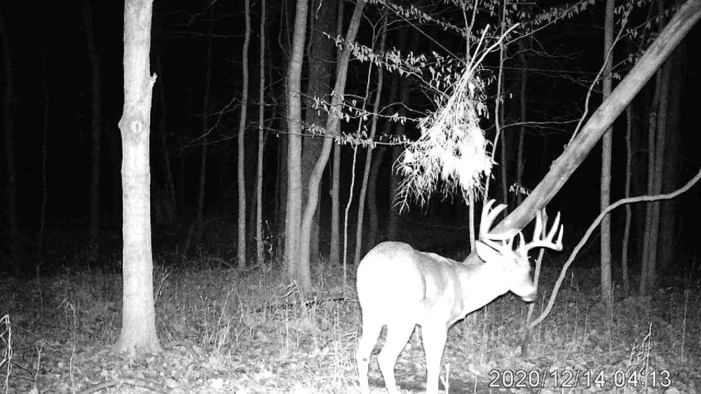 000 N Fox Road Marshall IL 62441 featured image
