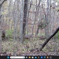 000 N Fox Road Marshall IL 62441 images 2